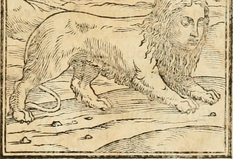 An illustration from Hieroglyphica, sive, De sacris Aegyptiorvm aliarvmqve gentivm literis commentarij, 1575, leaf 34