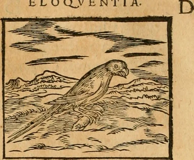 An illustration from Hieroglyphica, sive, De sacris Aegyptiorvm aliarvmqve gentivm literis commentarij, 1575, leaf 341