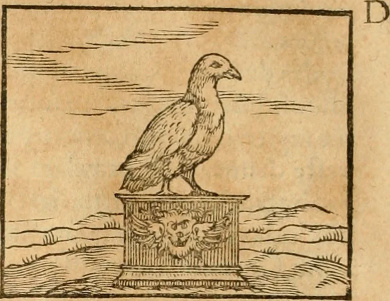 An illustration from Hieroglyphica, sive, De sacris Aegyptiorvm aliarvmqve gentivm literis commentarij, 1575, leaf 347