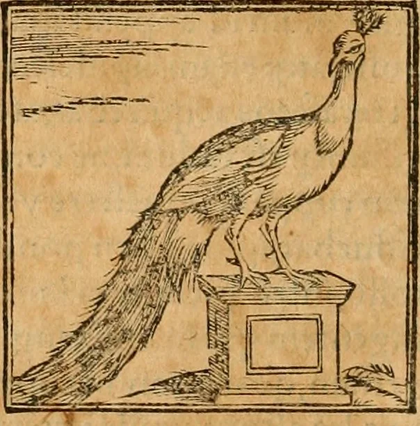 An illustration from Hieroglyphica, sive, De sacris Aegyptiorvm aliarvmqve gentivm literis commentarij, 1575, leaf 349