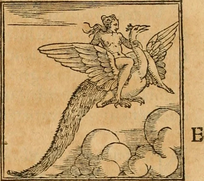 An illustration from Hieroglyphica, sive, De sacris Aegyptiorvm aliarvmqve gentivm literis commentarij, 1575, leaf 351