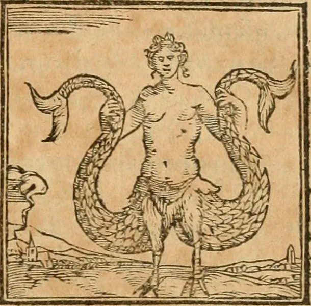 An illustration from Hieroglyphica, sive, De sacris Aegyptiorvm aliarvmqve gentivm literis commentarij, 1575, leaf 352