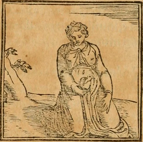 An illustration from Hieroglyphica, sive, De sacris Aegyptiorvm aliarvmqve gentivm literis commentarij, 1575, leaf 353