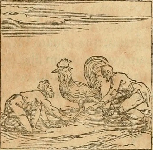 An illustration from Hieroglyphica, sive, De sacris Aegyptiorvm aliarvmqve gentivm literis commentarij, 1575, leaf 356