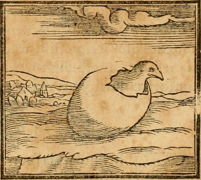 An illustration from Hieroglyphica, sive, De sacris Aegyptiorvm aliarvmqve gentivm literis commentarij, 1575, leaf 359