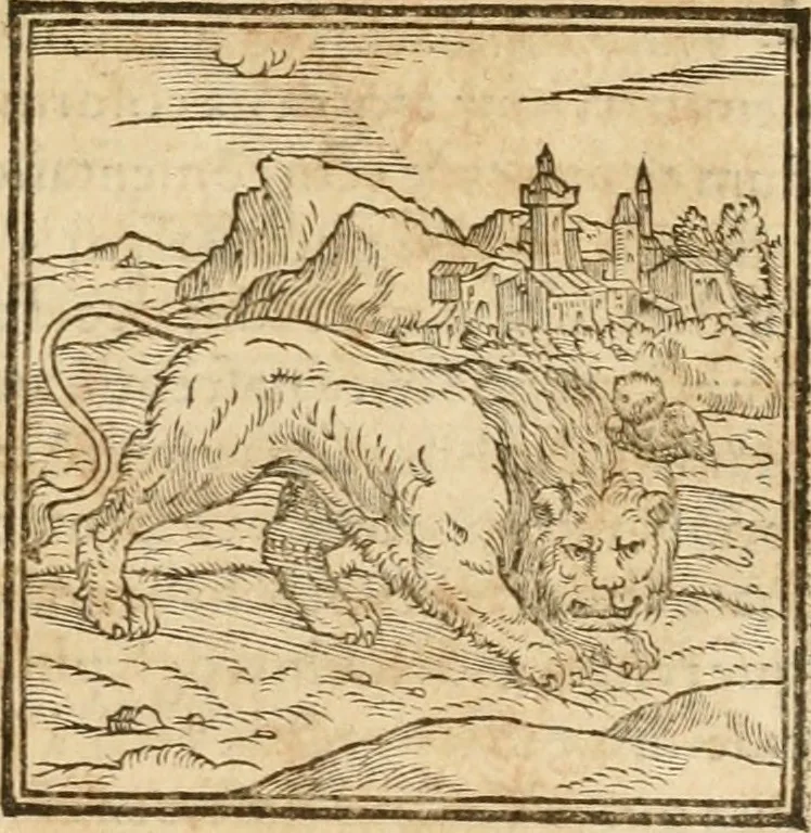 An illustration from Hieroglyphica, sive, De sacris Aegyptiorvm aliarvmqve gentivm literis commentarij, 1575, leaf 36