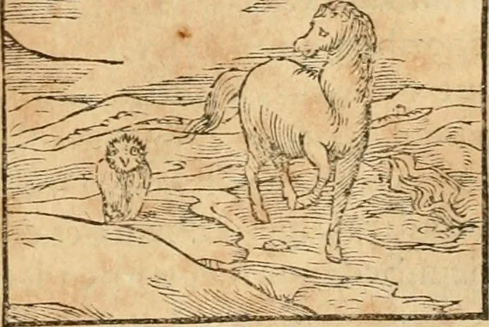 An illustration from Hieroglyphica, sive, De sacris Aegyptiorvm aliarvmqve gentivm literis commentarij, 1575, leaf 368