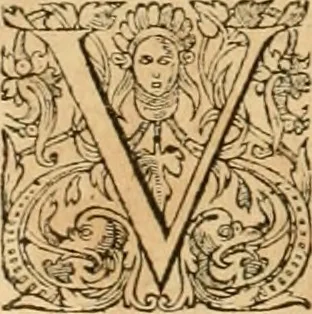 An illustration from Hieroglyphica, sive, De sacris Aegyptiorvm aliarvmqve gentivm literis commentarij, 1575, leaf 377