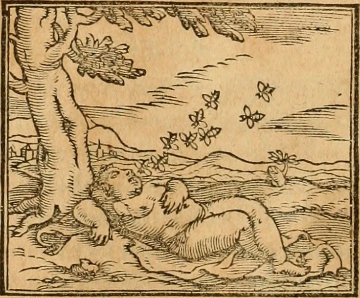 An illustration from Hieroglyphica, sive, De sacris Aegyptiorvm aliarvmqve gentivm literis commentarij, 1575, leaf 379
