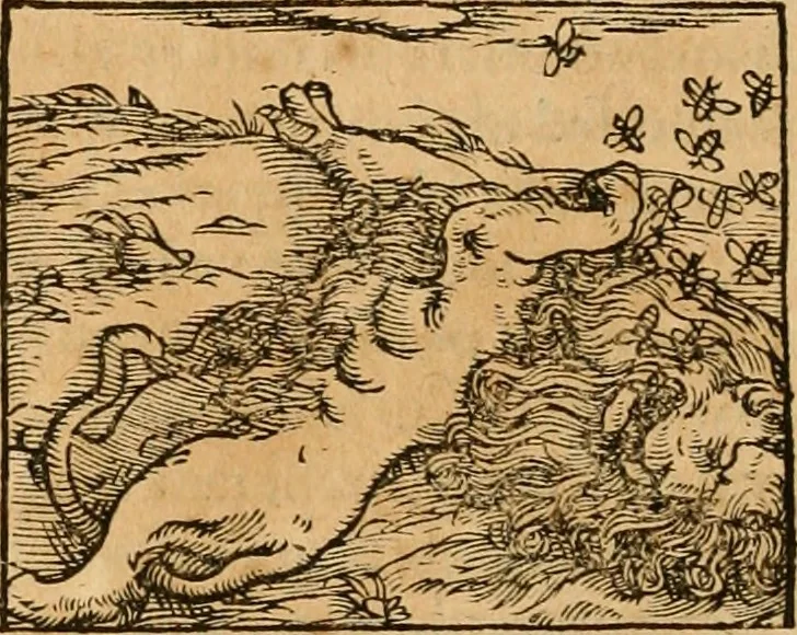 An illustration from Hieroglyphica, sive, De sacris Aegyptiorvm aliarvmqve gentivm literis commentarij, 1575, leaf 383