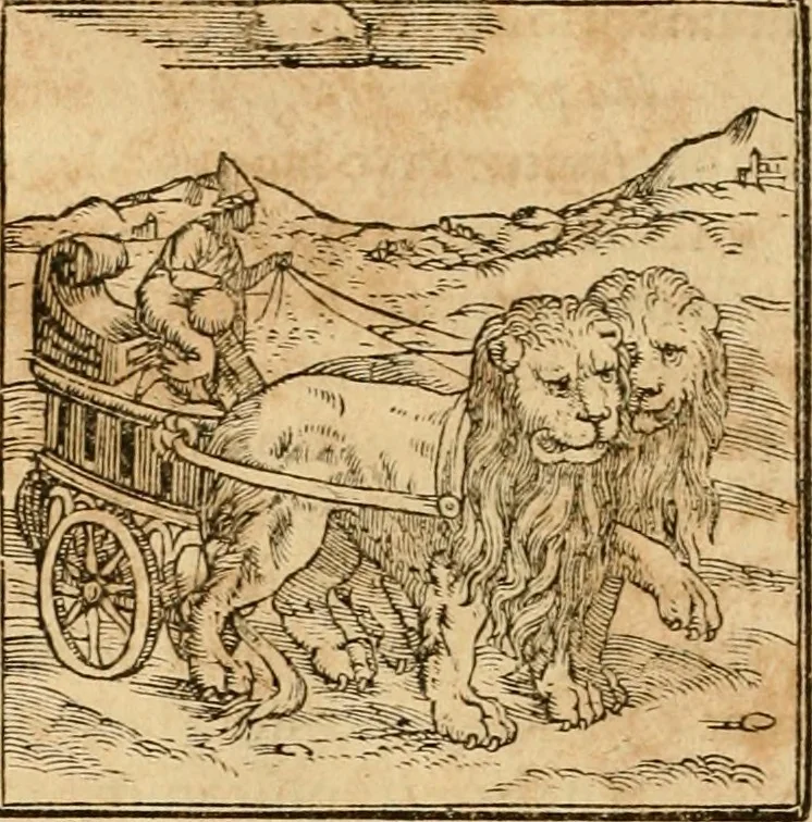 An illustration from Hieroglyphica, sive, De sacris Aegyptiorvm aliarvmqve gentivm literis commentarij, 1575, leaf 39