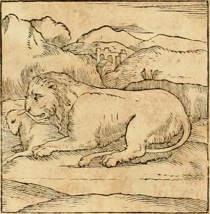 An illustration from Hieroglyphica, sive, De sacris Aegyptiorvm aliarvmqve gentivm literis commentarij, 1575, leaf 39