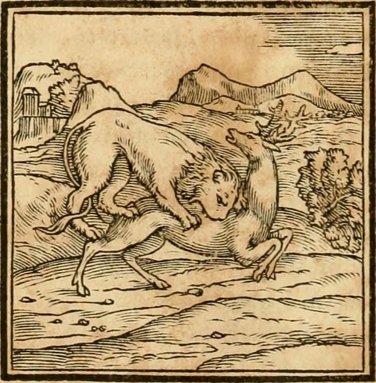 An illustration from Hieroglyphica, sive, De sacris Aegyptiorvm aliarvmqve gentivm literis commentarij, 1575, leaf 39