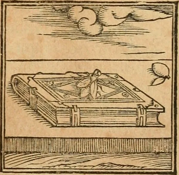 An illustration from Hieroglyphica, sive, De sacris Aegyptiorvm aliarvmqve gentivm literis commentarij, 1575, leaf 390