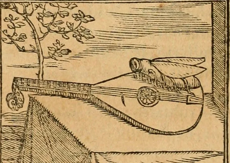 An illustration from Hieroglyphica, sive, De sacris Aegyptiorvm aliarvmqve gentivm literis commentarij, 1575, leaf 393