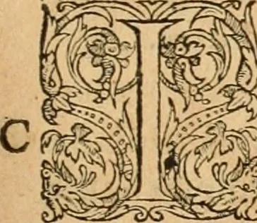 An illustration from Hieroglyphica, sive, De sacris Aegyptiorvm aliarvmqve gentivm literis commentarij, 1575, leaf 396