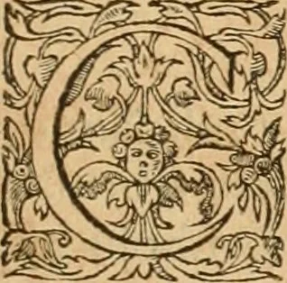 An illustration from Hieroglyphica, sive, De sacris Aegyptiorvm aliarvmqve gentivm literis commentarij, 1575, leaf 418