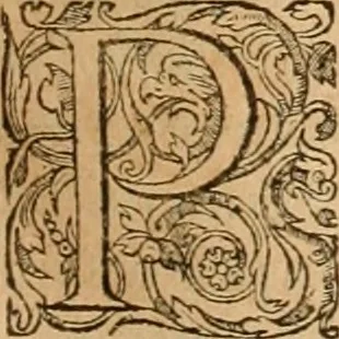 An illustration from Hieroglyphica, sive, De sacris Aegyptiorvm aliarvmqve gentivm literis commentarij, 1575, leaf 418