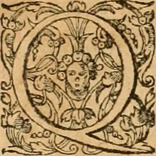 An illustration from Hieroglyphica, sive, De sacris Aegyptiorvm aliarvmqve gentivm literis commentarij, 1575, leaf 419