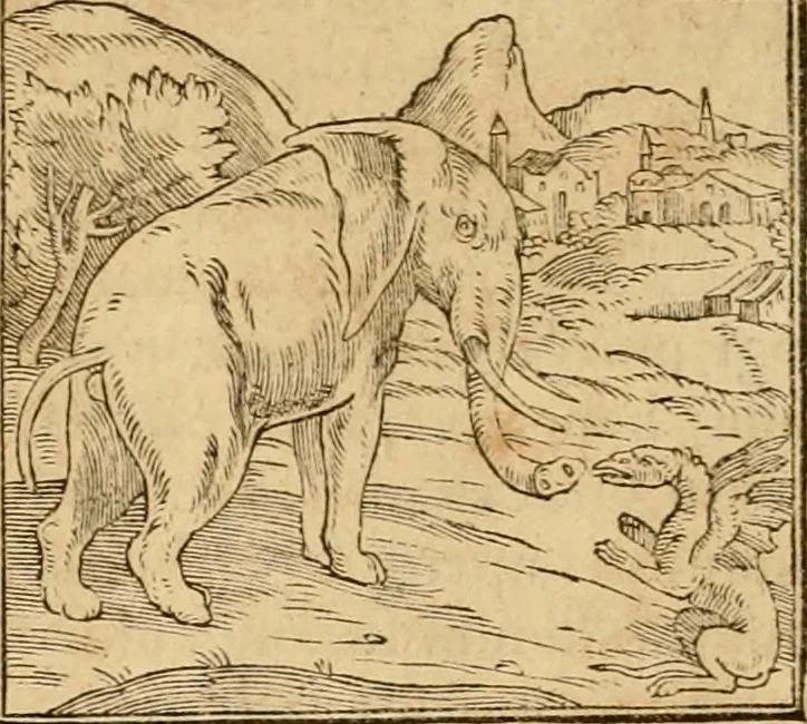 An illustration from Hieroglyphica, sive, De sacris Aegyptiorvm aliarvmqve gentivm literis commentarij, 1575, leaf 43