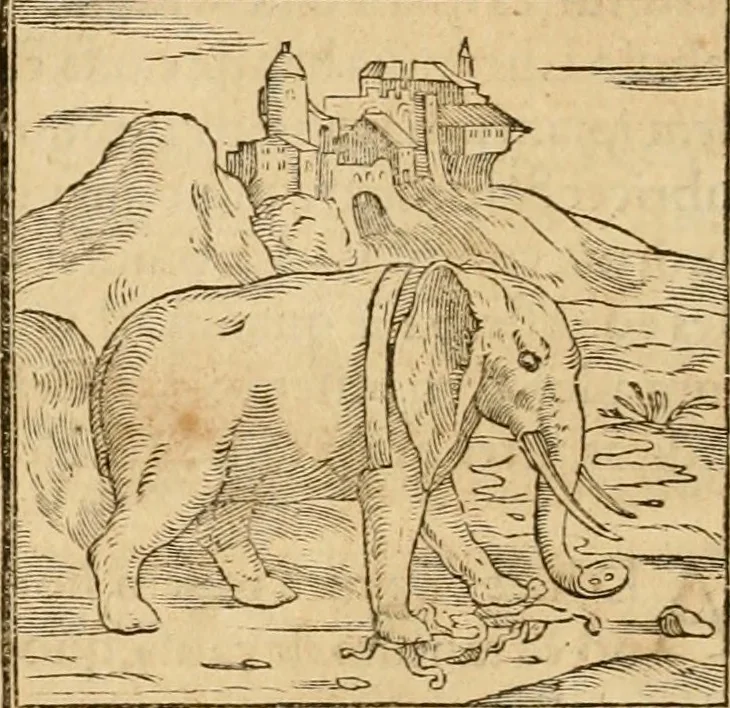 An illustration from Hieroglyphica, sive, De sacris Aegyptiorvm aliarvmqve gentivm literis commentarij, 1575, leaf 43