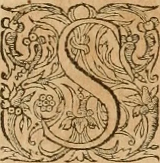 An illustration from Hieroglyphica, sive, De sacris Aegyptiorvm aliarvmqve gentivm literis commentarij, 1575, leaf 442