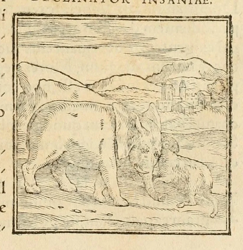 An illustration from Hieroglyphica, sive, De sacris Aegyptiorvm aliarvmqve gentivm literis commentarij, 1575, leaf 45