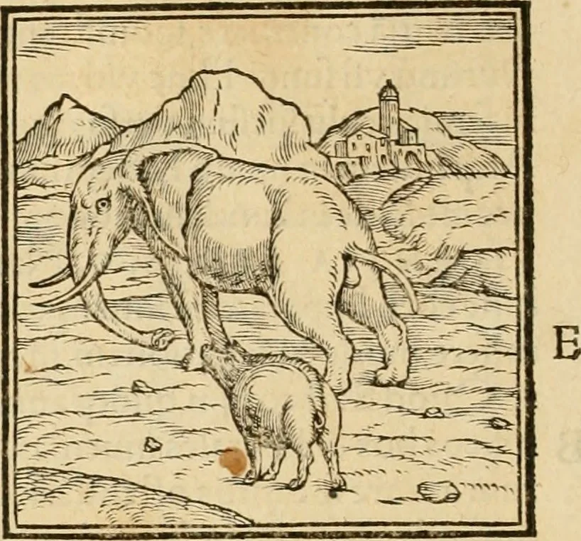 An illustration from Hieroglyphica, sive, De sacris Aegyptiorvm aliarvmqve gentivm literis commentarij, 1575, leaf 45