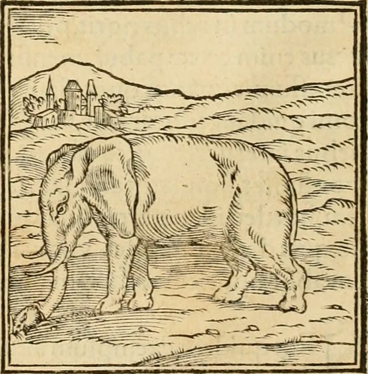 An illustration from Hieroglyphica, sive, De sacris Aegyptiorvm aliarvmqve gentivm literis commentarij, 1575, leaf 45