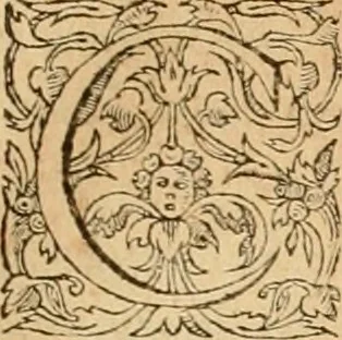 An illustration from Hieroglyphica, sive, De sacris Aegyptiorvm aliarvmqve gentivm literis commentarij, 1575, leaf 456