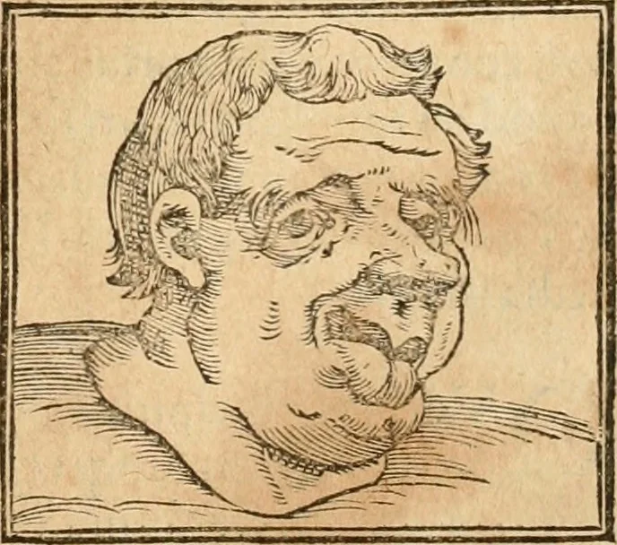 An illustration from Hieroglyphica, sive, De sacris Aegyptiorvm aliarvmqve gentivm literis commentarij, 1575, leaf 462