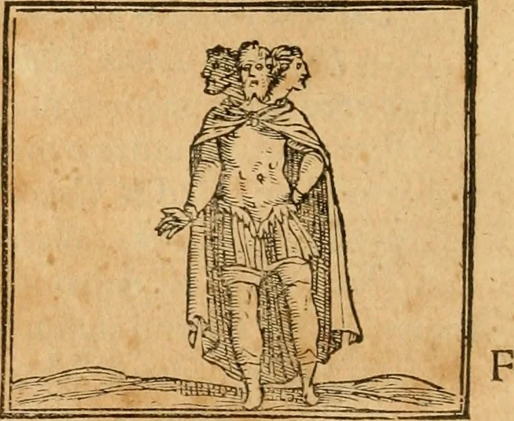 An illustration from Hieroglyphica, sive, De sacris Aegyptiorvm aliarvmqve gentivm literis commentarij, 1575, leaf 465