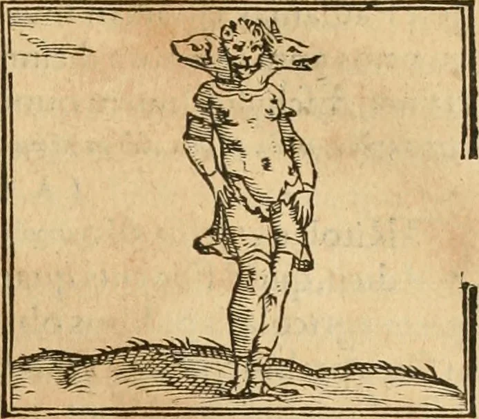 An illustration from Hieroglyphica, sive, De sacris Aegyptiorvm aliarvmqve gentivm literis commentarij, 1575, leaf 466