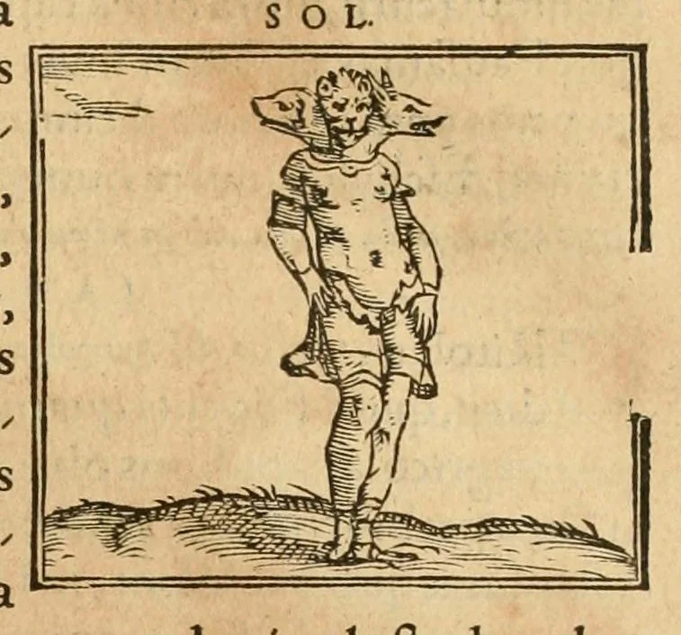 An illustration from Hieroglyphica, sive, De sacris Aegyptiorvm aliarvmqve gentivm literis commentarij, 1575, leaf 467