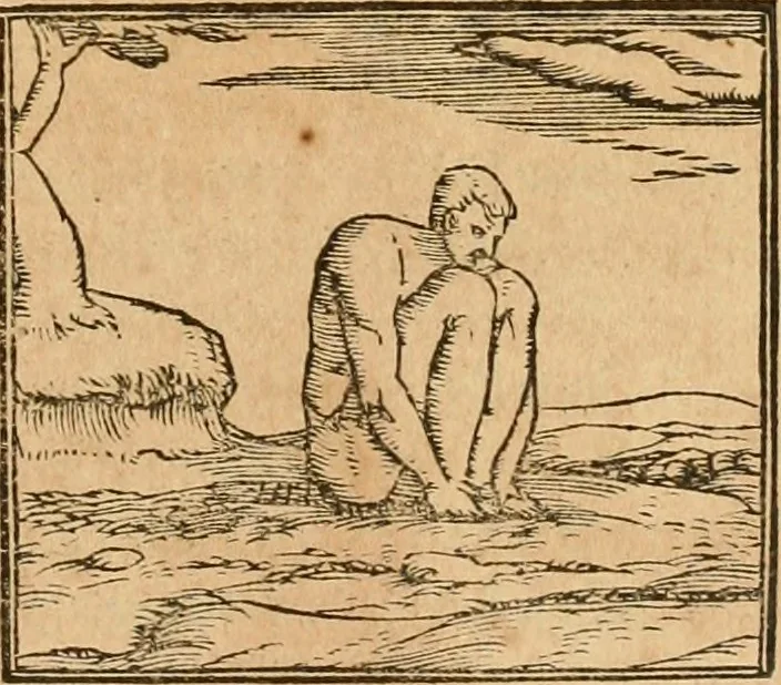 An illustration from Hieroglyphica, sive, De sacris Aegyptiorvm aliarvmqve gentivm literis commentarij, 1575, leaf 468