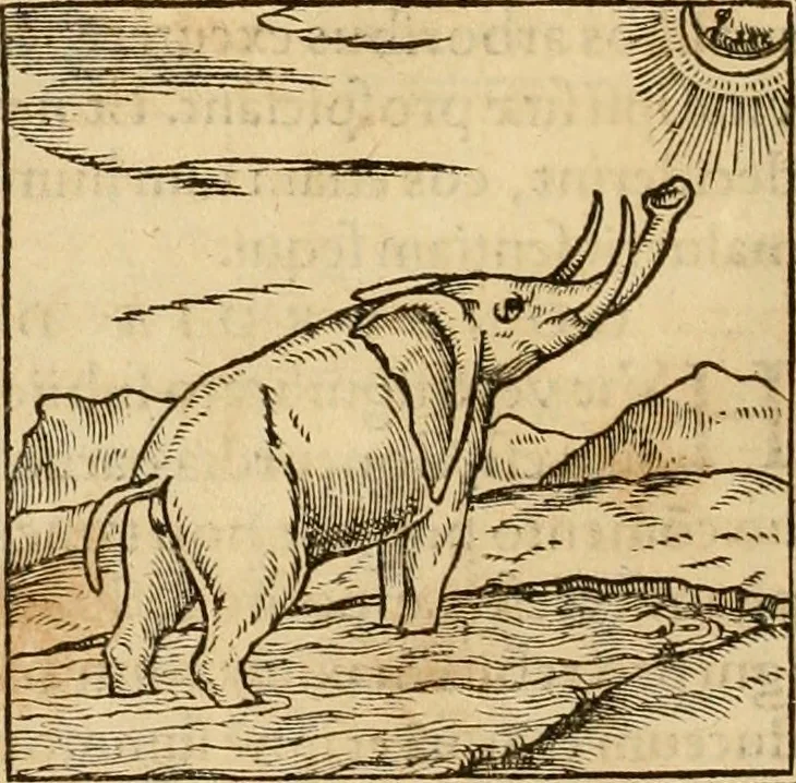 An illustration from Hieroglyphica, sive, De sacris Aegyptiorvm aliarvmqve gentivm literis commentarij, 1575, leaf 47