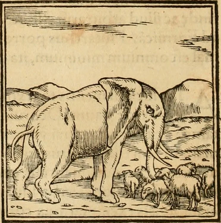 An illustration from Hieroglyphica, sive, De sacris Aegyptiorvm aliarvmqve gentivm literis commentarij, 1575, leaf 47