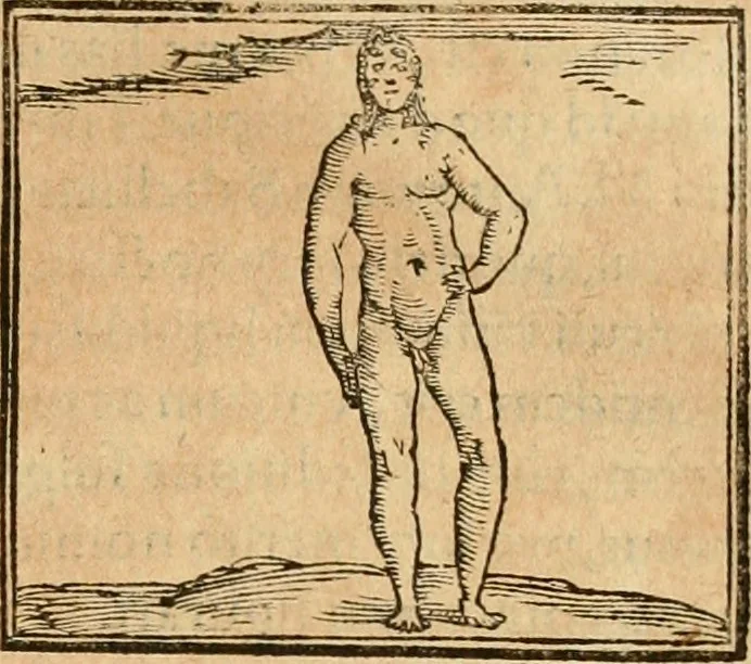 An illustration from Hieroglyphica, sive, De sacris Aegyptiorvm aliarvmqve gentivm literis commentarij, 1575, leaf 476