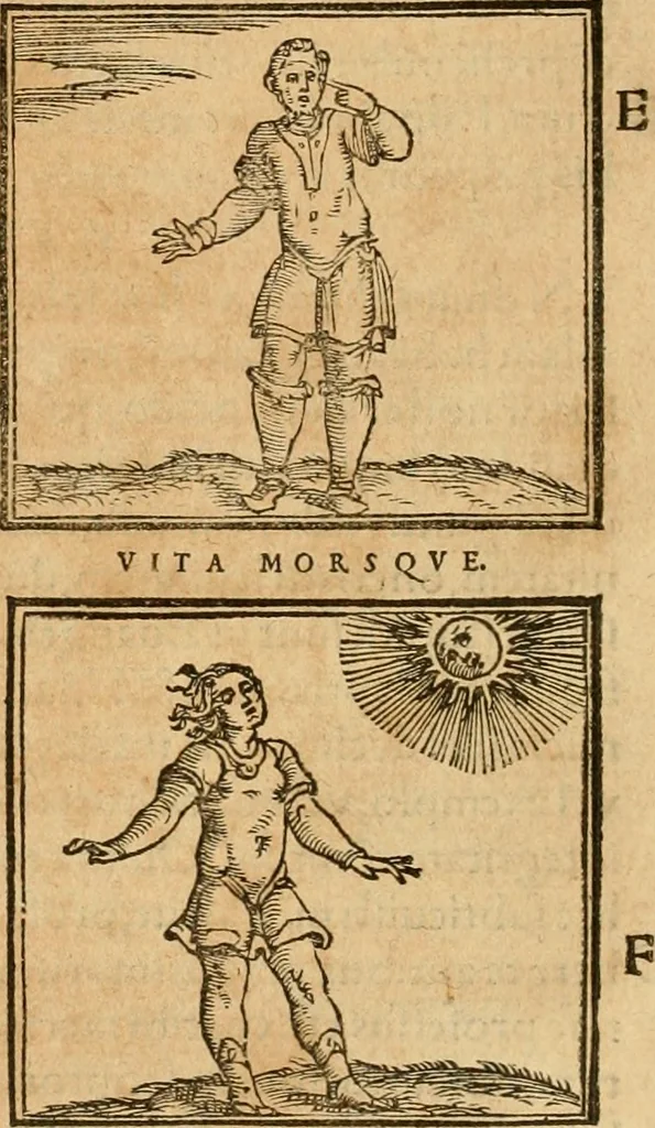 An illustration from Hieroglyphica, sive, De sacris Aegyptiorvm aliarvmqve gentivm literis commentarij, 1575, leaf 479