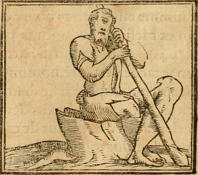 An illustration from Hieroglyphica, sive, De sacris Aegyptiorvm aliarvmqve gentivm literis commentarij, 1575, leaf 479