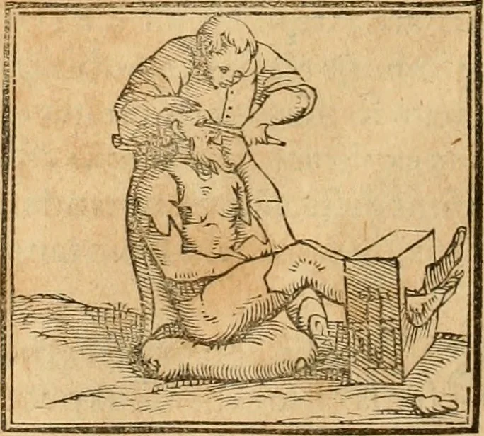 An illustration from Hieroglyphica, sive, De sacris Aegyptiorvm aliarvmqve gentivm literis commentarij, 1575, leaf 481