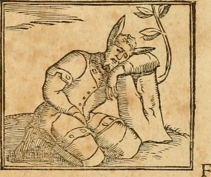 An illustration from Hieroglyphica, sive, De sacris Aegyptiorvm aliarvmqve gentivm literis commentarij, 1575, leaf 483