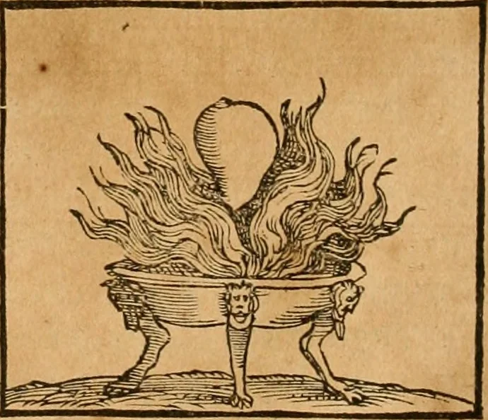 An illustration from Hieroglyphica, sive, De sacris Aegyptiorvm aliarvmqve gentivm literis commentarij, 1575, leaf 493