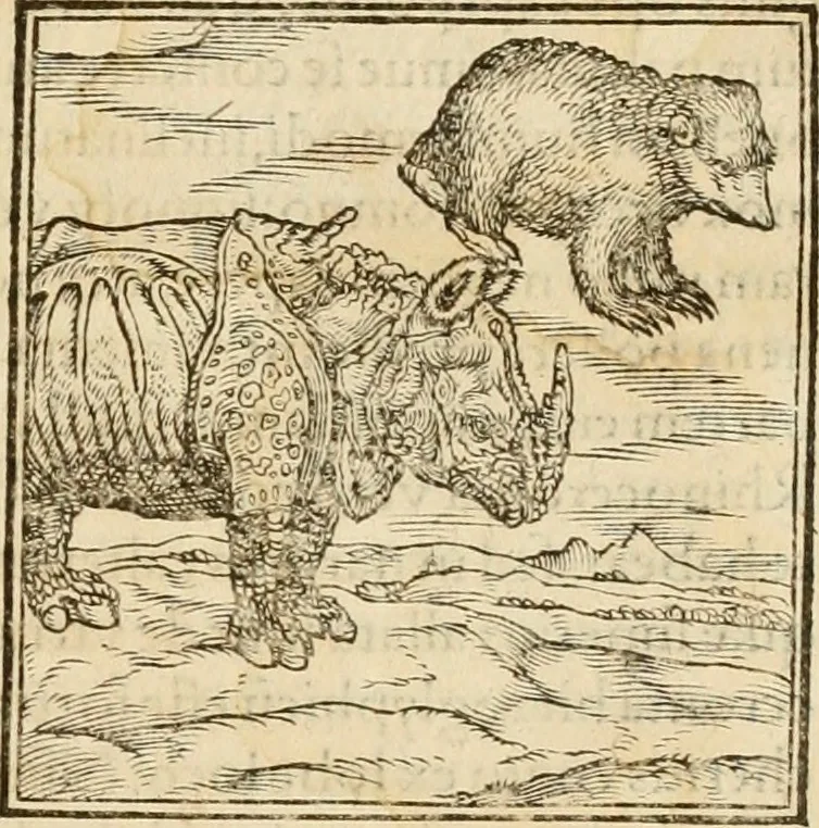 An illustration from Hieroglyphica, sive, De sacris Aegyptiorvm aliarvmqve gentivm literis commentarij, 1575, leaf 50