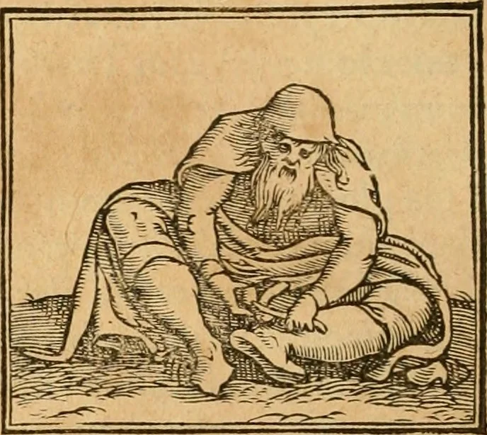 An illustration from Hieroglyphica, sive, De sacris Aegyptiorvm aliarvmqve gentivm literis commentarij, 1575, leaf 501