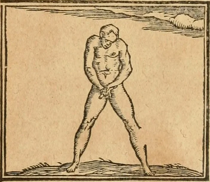 An illustration from Hieroglyphica, sive, De sacris Aegyptiorvm aliarvmqve gentivm literis commentarij, 1575, leaf 502