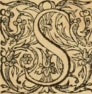 An illustration from Hieroglyphica, sive, De sacris Aegyptiorvm aliarvmqve gentivm literis commentarij, 1575, leaf 508
