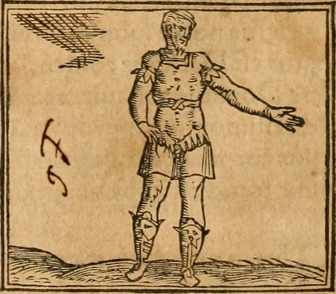 An illustration from Hieroglyphica, sive, De sacris Aegyptiorvm aliarvmqve gentivm literis commentarij, 1575, leaf 511