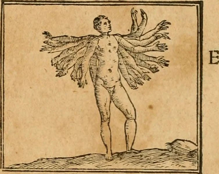 An illustration from Hieroglyphica, sive, De sacris Aegyptiorvm aliarvmqve gentivm literis commentarij, 1575, leaf 513