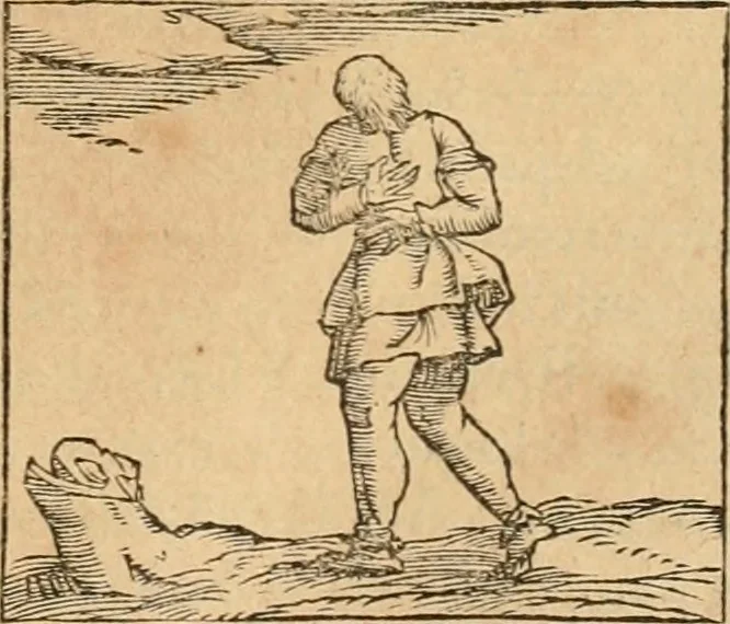 An illustration from Hieroglyphica, sive, De sacris Aegyptiorvm aliarvmqve gentivm literis commentarij, 1575, leaf 514